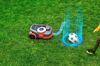 PictureAltAttribute - segway-boundaries-2-Medium-jpg